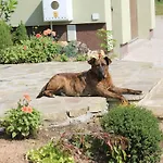 Sloneczna Zagroda - Sunny Ridge Farm Feriegård Laczna (Walbrzych)