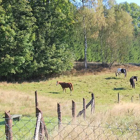 Sloneczna Zagroda - Sunny Ridge Farm Фермерский дом