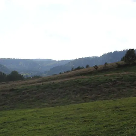 Sloneczna Zagroda - Sunny Ridge Farm Фермерский дом