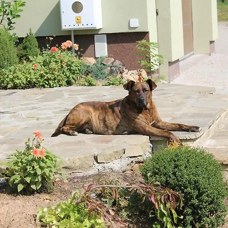 Sloneczna Zagroda - Sunny Ridge Farm Фермерский дом Laczna (Walbrzych)