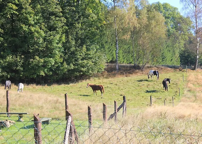 Sloneczna Zagroda - Sunny Ridge Farm Bauernhof