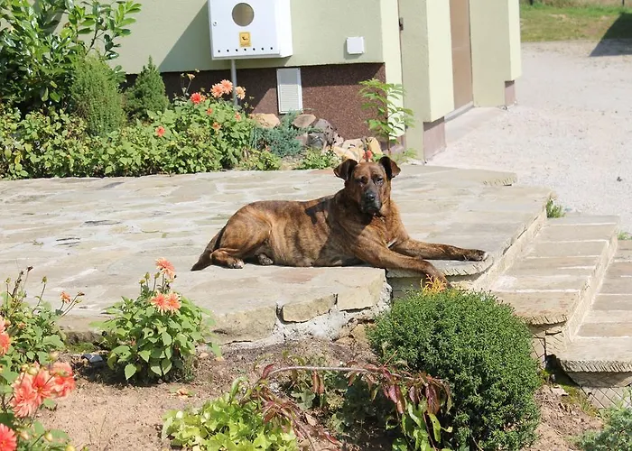 Sloneczna Zagroda - Sunny Ridge Farm Bauernhof Laczna (Walbrzych)