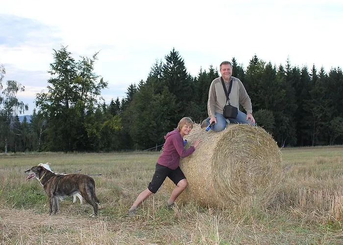 Lantgård Sloneczna Zagroda - Sunny Ridge Farm *